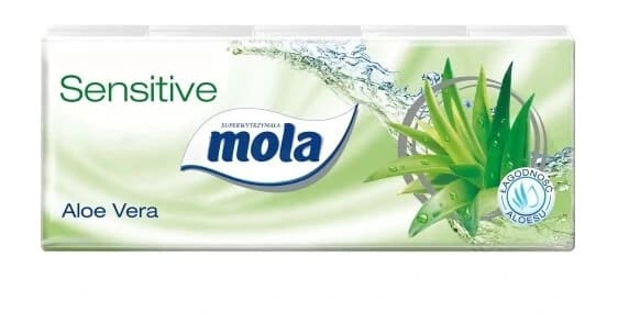 Mola Salviette all'aloe vera, 10 pezzi x 10
