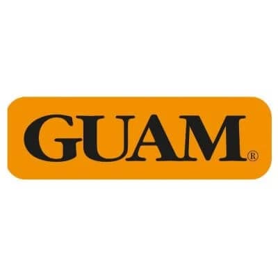 Guam fangogel filo d'azione caldo-freddo 300 ml