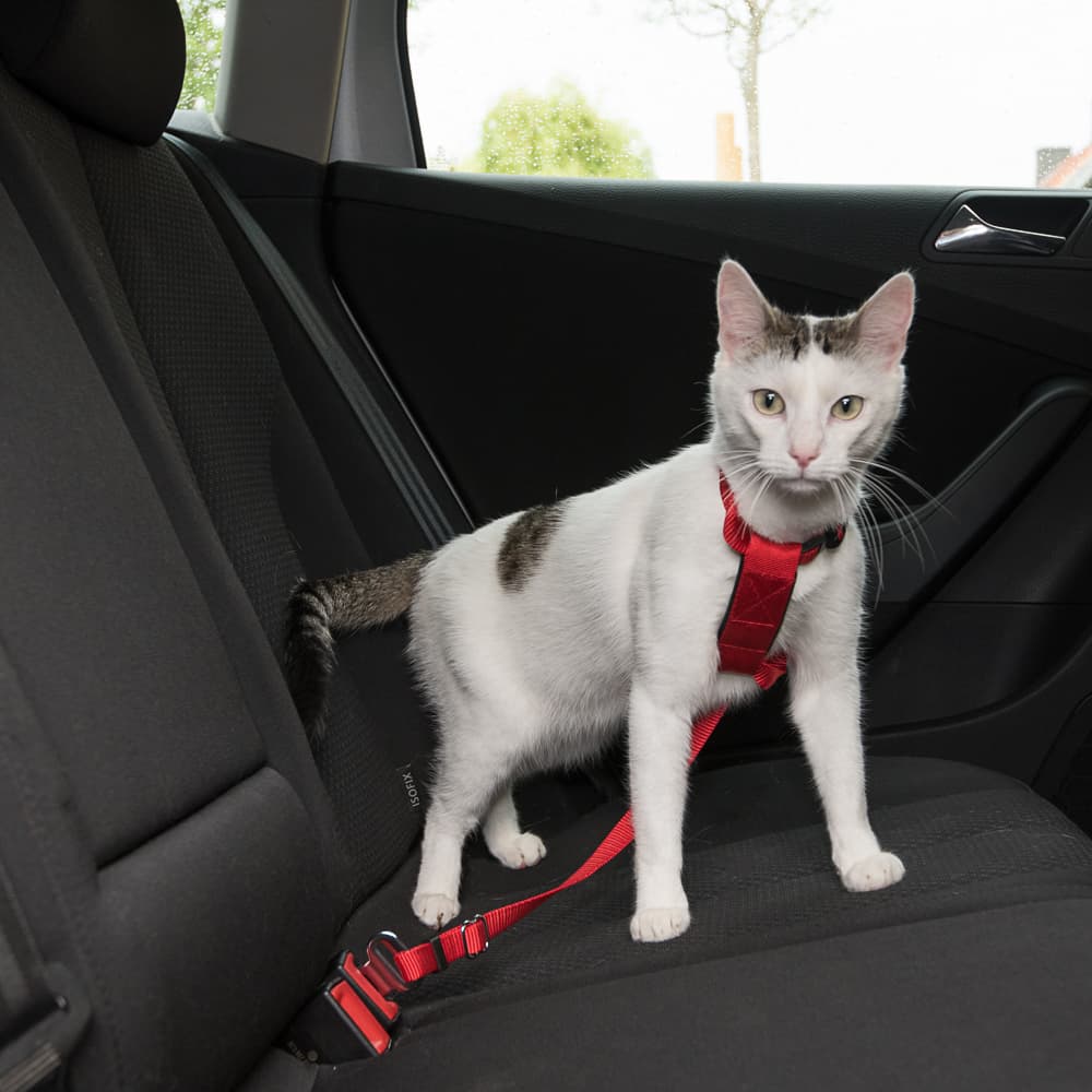 Pettorina da automobile per gatti Trixie - rosso