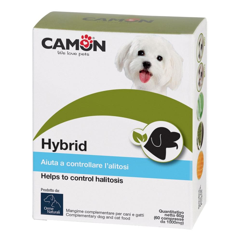 HYBRID ORME NAT.60 Cpr