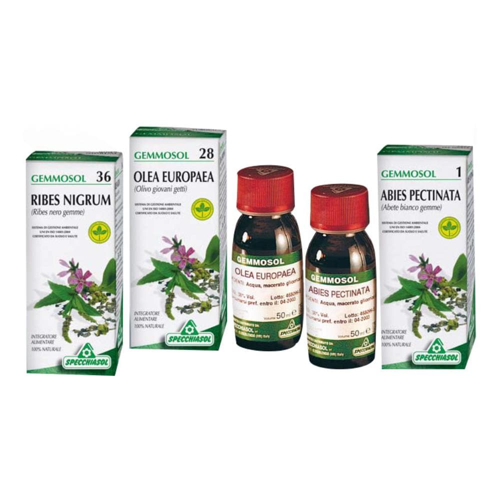 Specchiasol Gemmosol 13 Betulla Linfa 50 ml