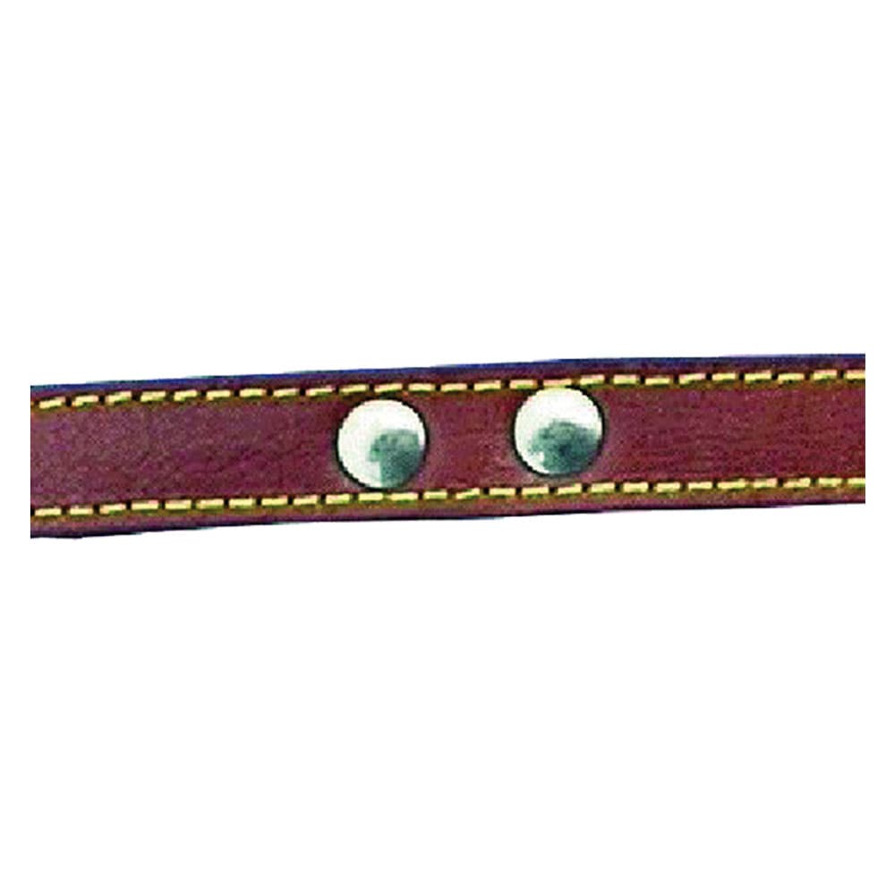 GUINZAGLIO PER CANE larg. mm 18 lung. cm 100 c/rivetti - Modello: larg. mm 18 lung. cm 100 c/rivetti