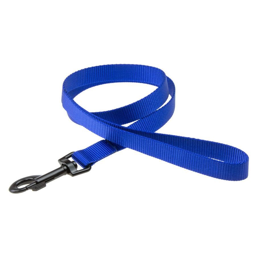 Karlie Art Sportiv Plus Leash nuovi colori universali Mix and Match (XS, Cane, Generale), Collare + Guinzaglio