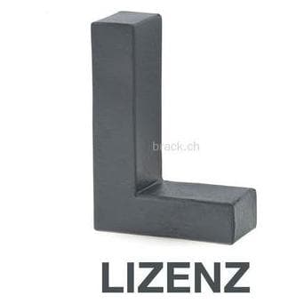 Microsoft MS Liz Windows Server Standard UserCAL per Windows