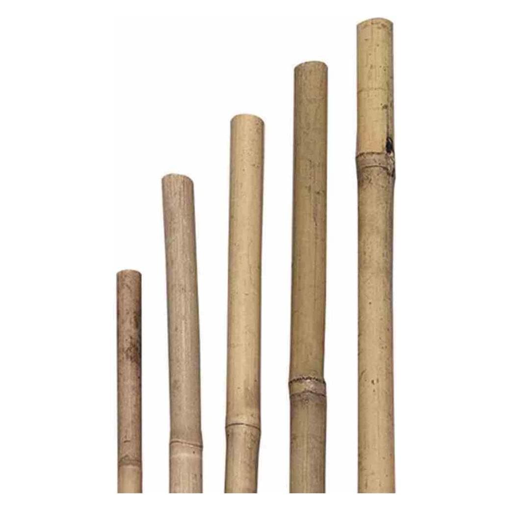 Siena Garden, Accessori per piante, Bastone per piantare (75 cm, 0.60 cm)