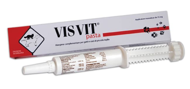 Visvit pasta os siringa 15g