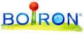 Para g 60cpr(ex homeogrip)boir