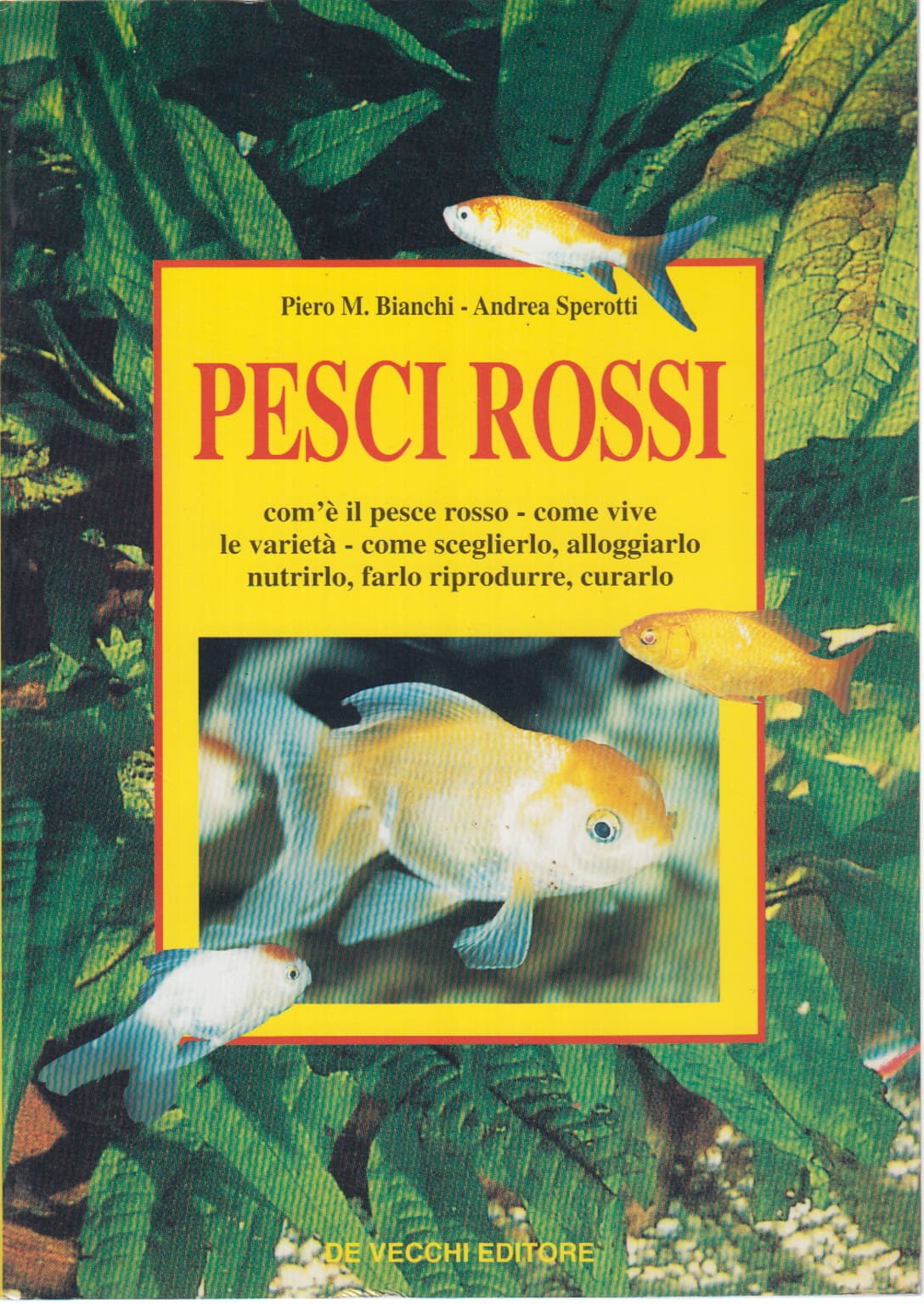 Pesci rossi - Piero M. Bianchi, Andrea Sperotti - usato - Manualistica - Varia