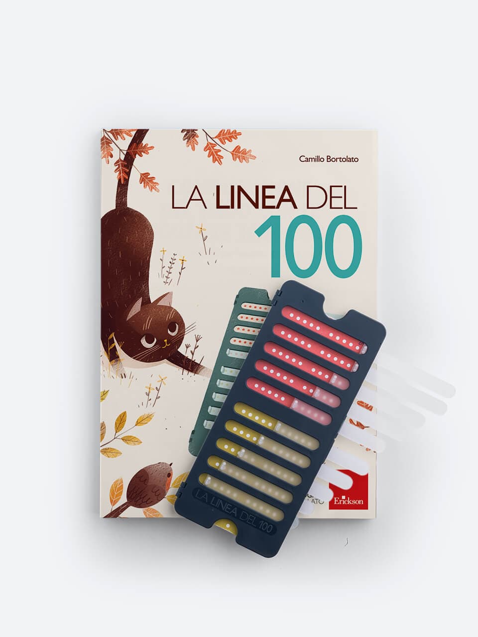 La linea del 100 | Apprendimento calcolo | Metodo Analogico Bortolato | Metodo Analogico per l'apprendimento della matematica (manuale +