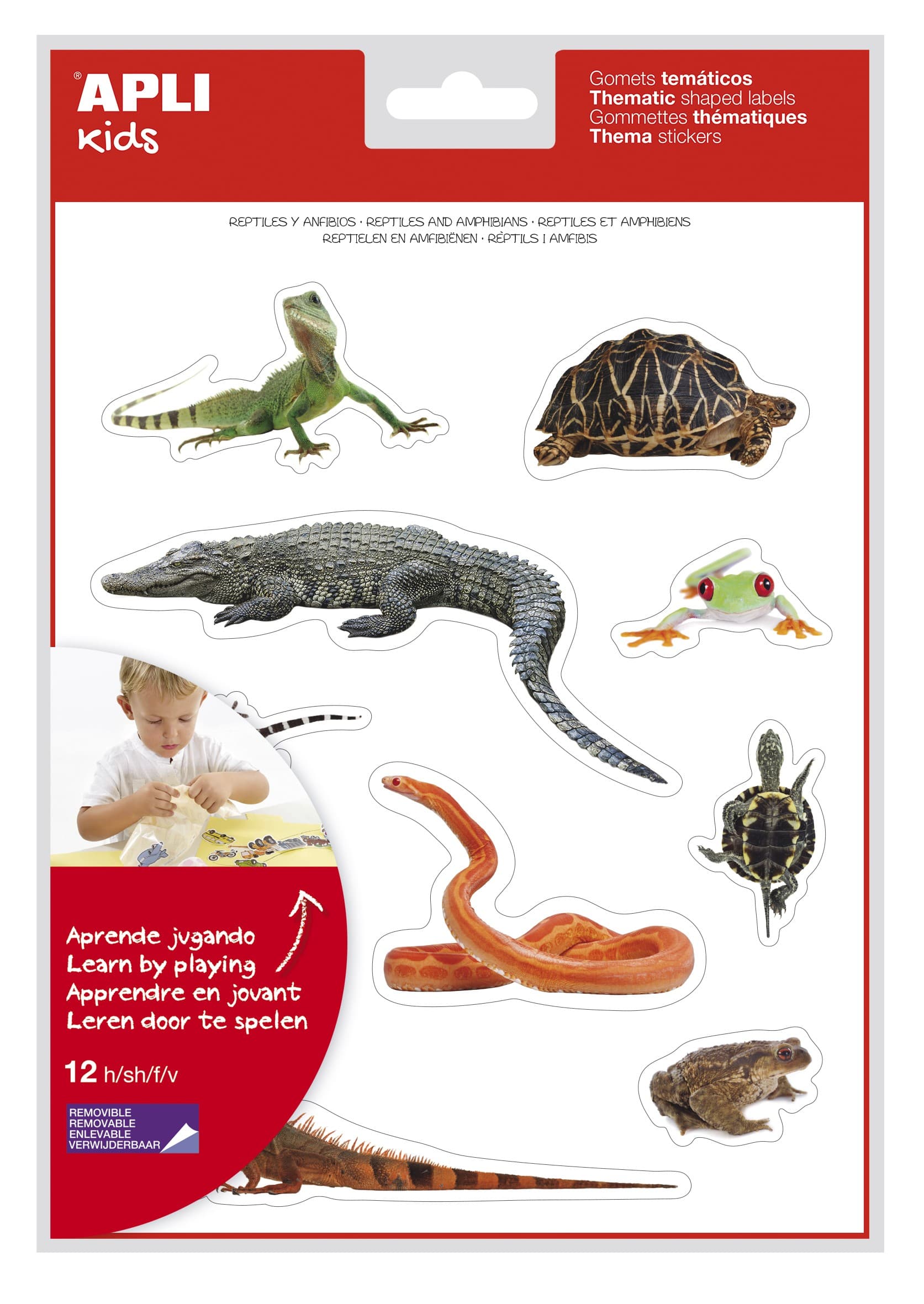 Apli Gomet Realistici a Tema Rettili e Anfibi - 120 Gomet - Immagini Realistiche per Mettere in Relazione gli Animali - Adesivo Removibile - Ideale