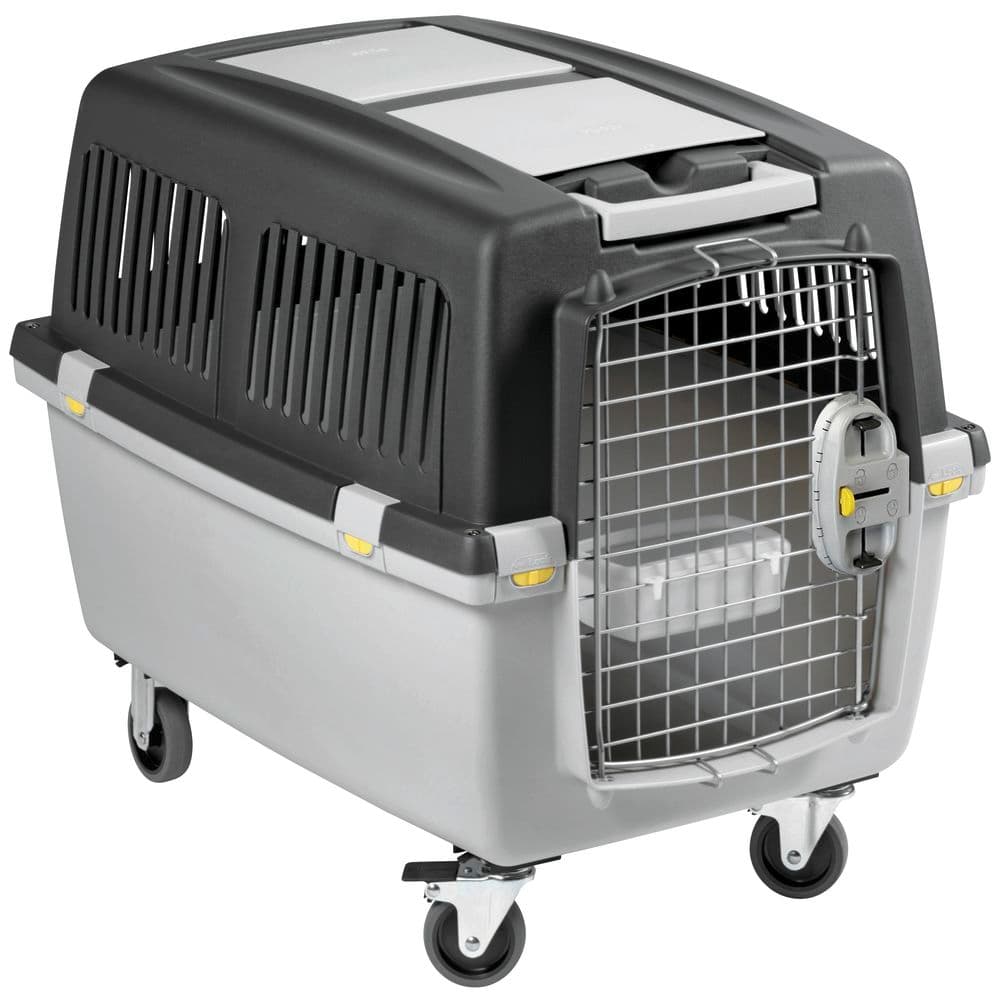 TRASPORTINO GULLIVER 5 ZOL30KG