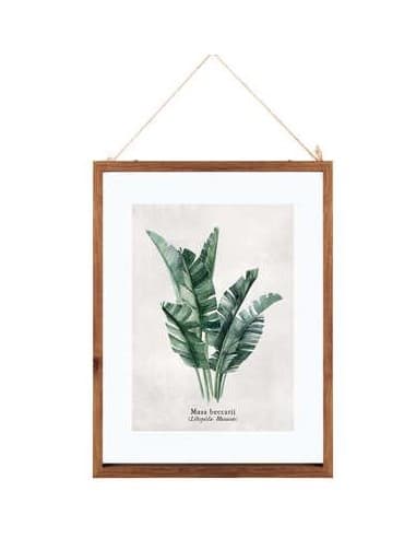 Quadro 162318 foglie 38x48cm assortito