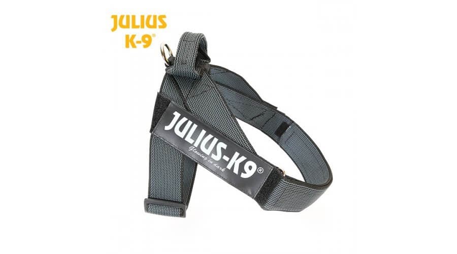 Julius K9 IDC Belt Harness Color & Gray Black