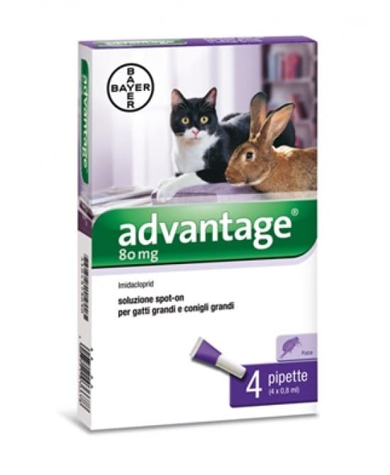 Advantage Spot On 0,8ml Trattamento Pulci Conigli E Gatti 4 Pipette
