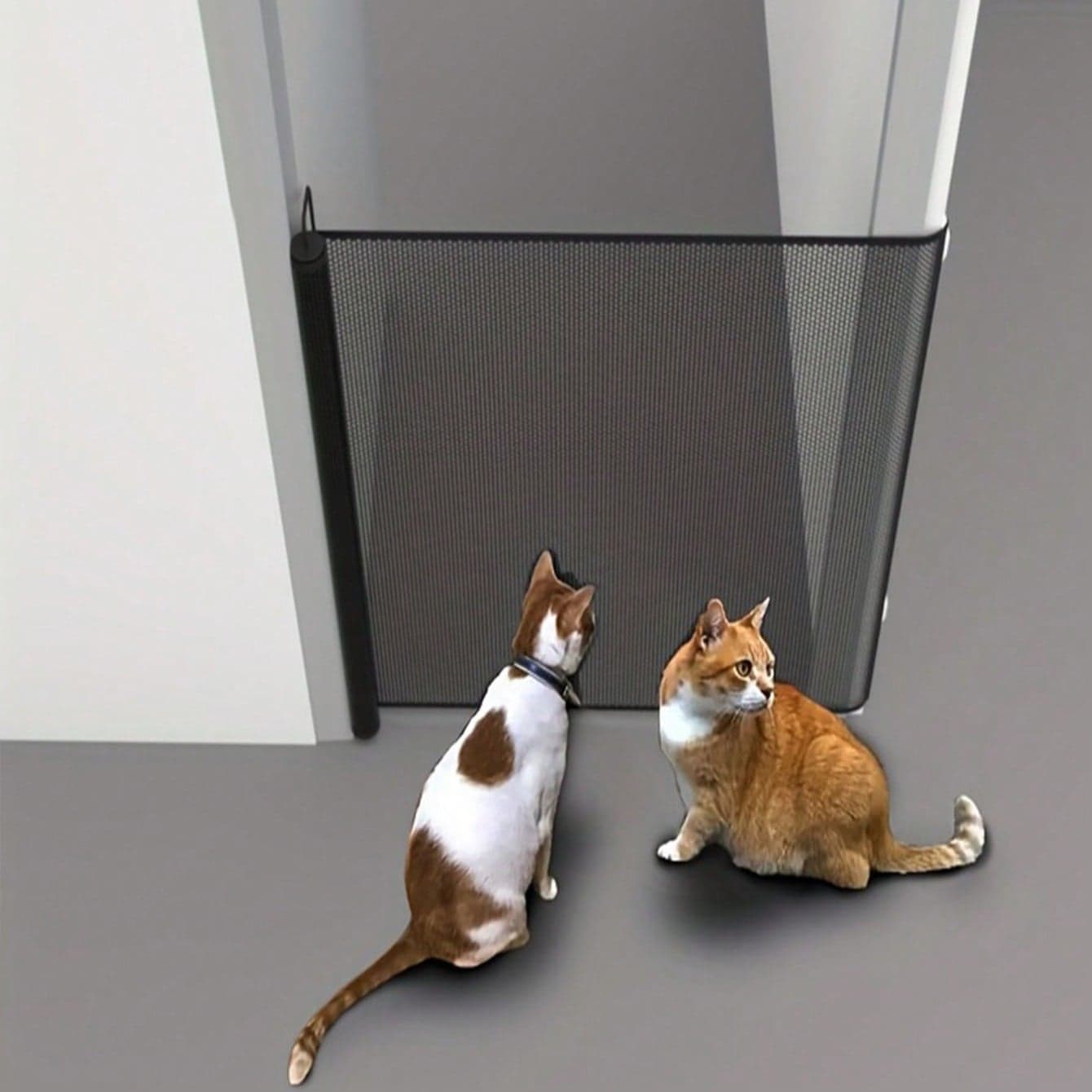 Cancelletto di per animali domestici espandibile con rete in PVC, facile installazione, adatto per cuccioli, gattini e altri animali domestici, senza