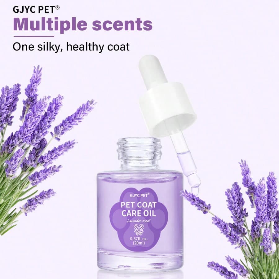 Olio per la cura del pelo degli animali domestici - Contiene olio di jojoba e olio di cocco, districa, riduce la caduta e aggiunge lucentezza. Adatto
