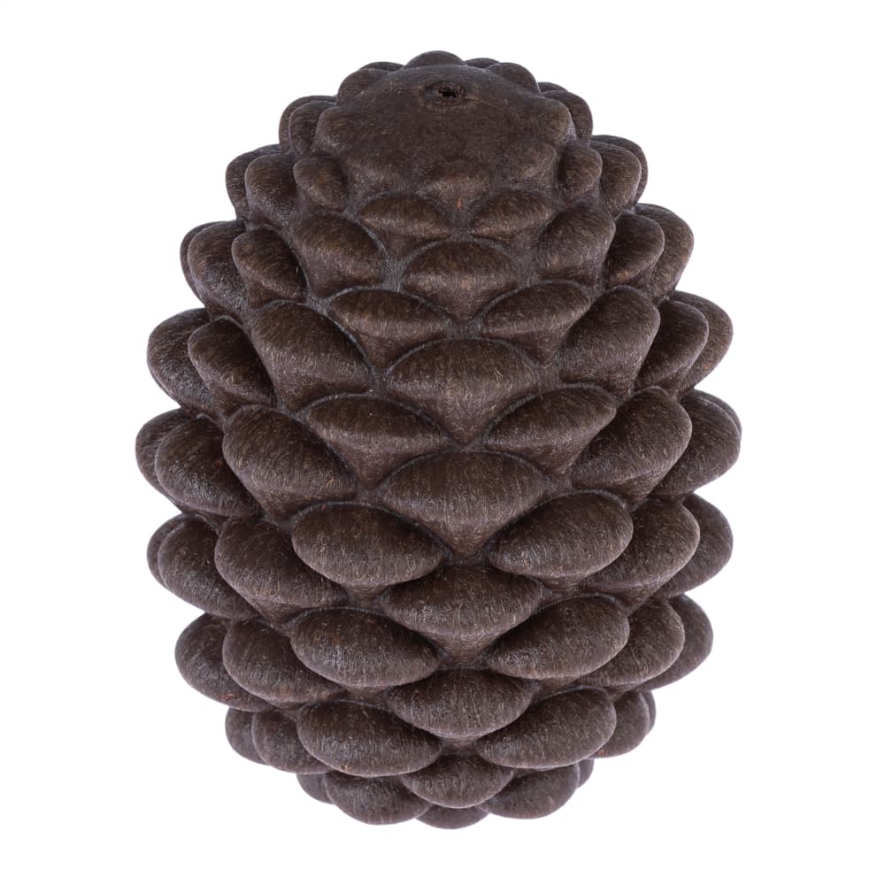 Gioco d'intelligenza per cani TIAKI Pigna - L 12 x P 9 x H 9 cm