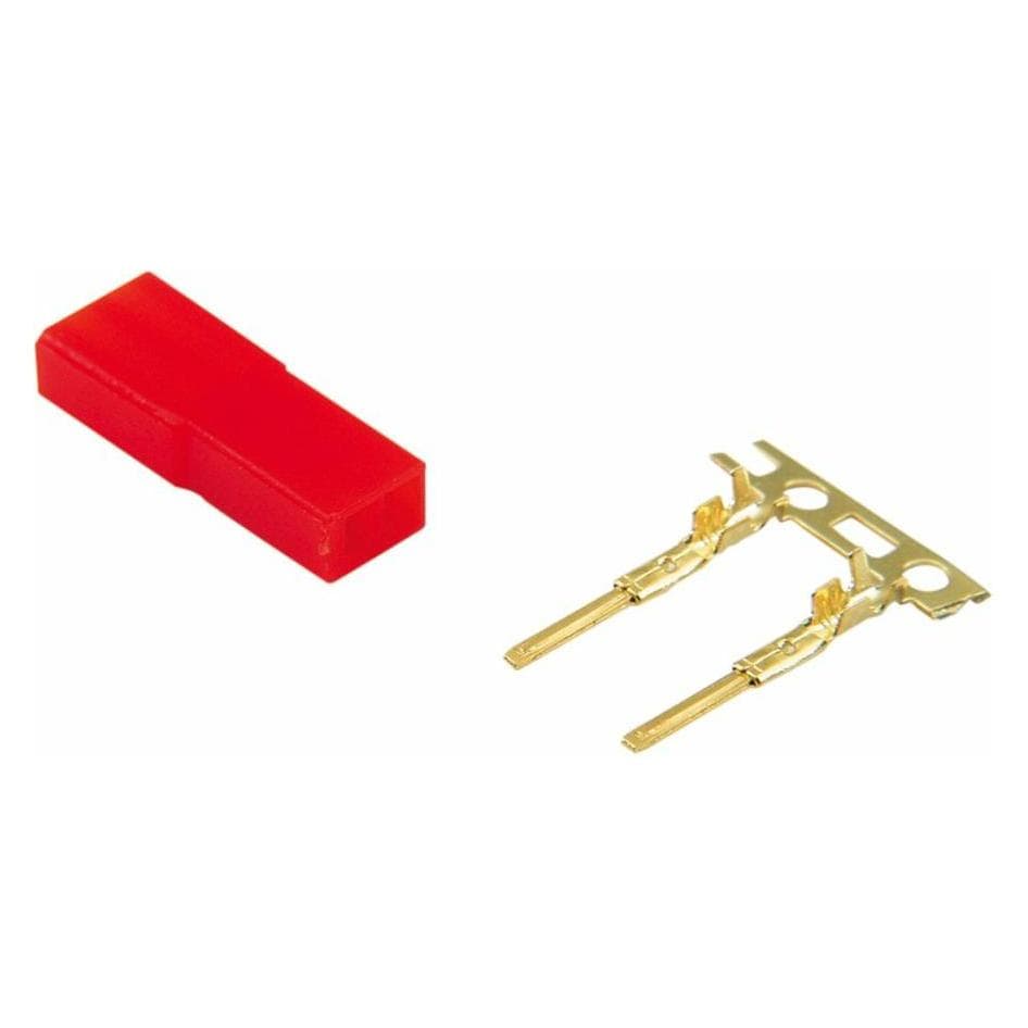 Jamara Kit spina BEC placcato oro