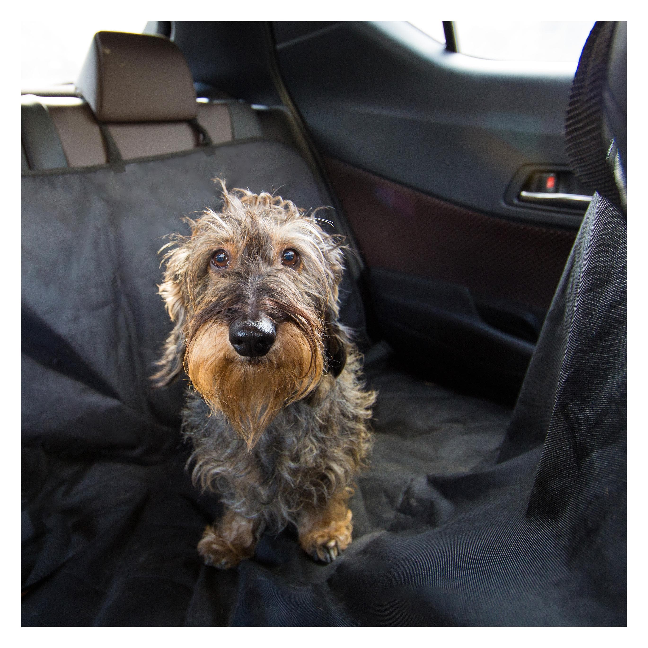 Relaxdays Coprisedile per cani (Cane), Cuccia per cani + cuccia per gatti