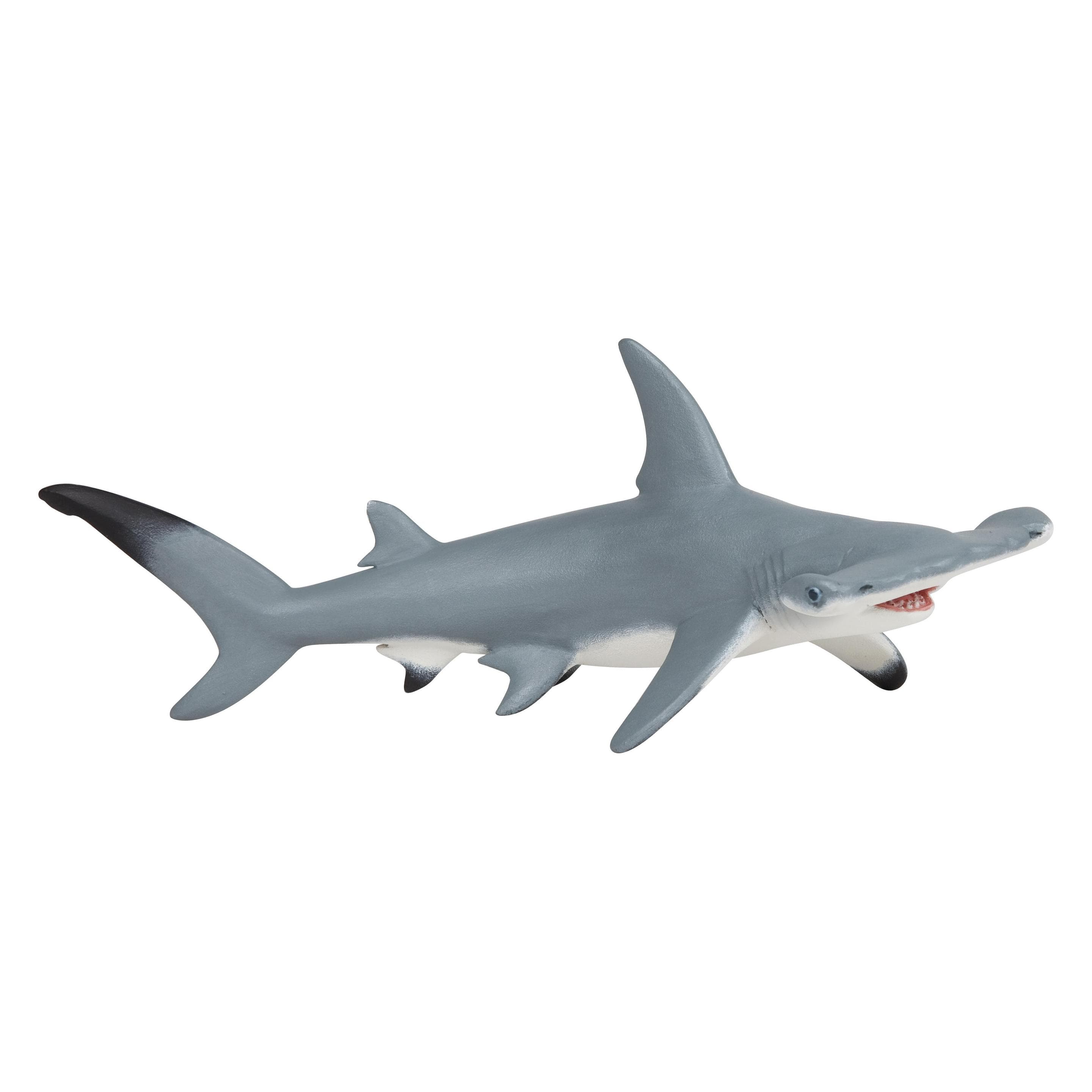 Papo Hammerhead