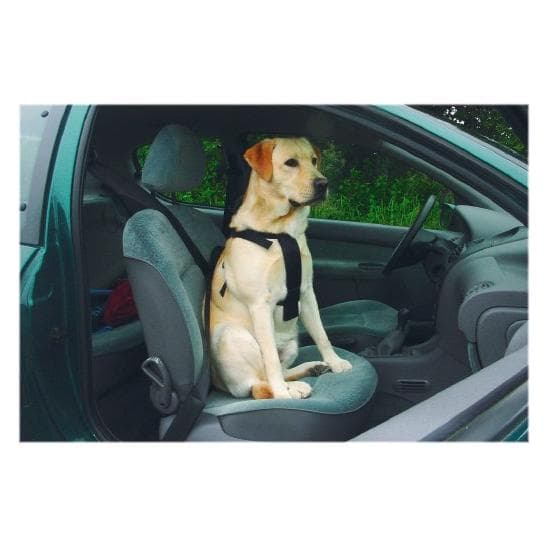 Beeztees Bz Imbracatura Di Sicurezza Per Auto Hu (Cane), Trasporto animali