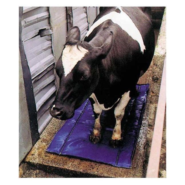Shoof Tappetino per la disinfezione e la cura degli artigli, Igiene animale