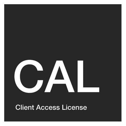 Microsoft Windows Remote Desktop Service CAL per Windows