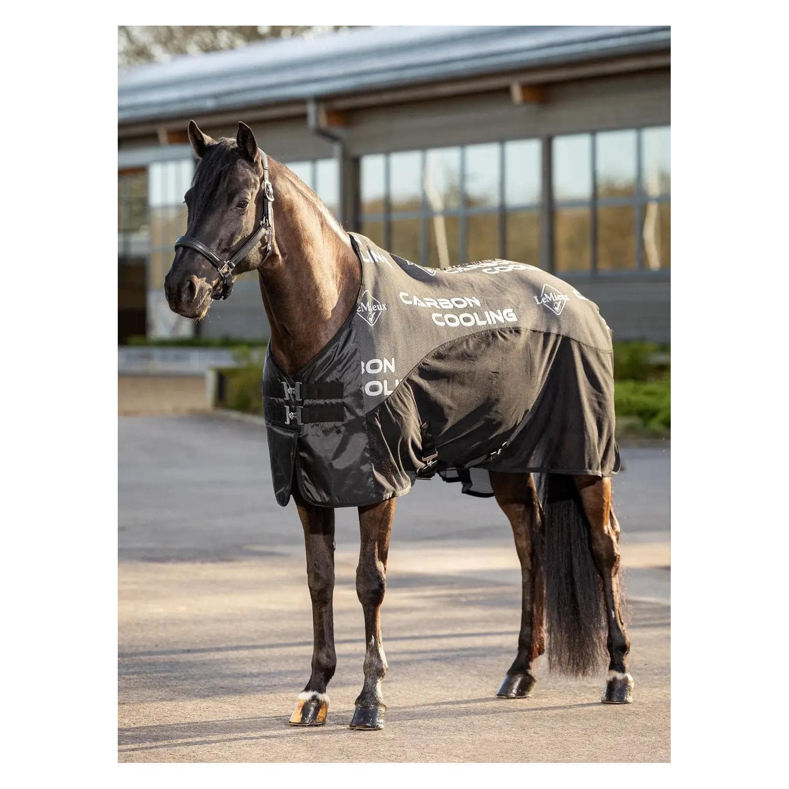 LeMieux, Coperta cavallo, (155 cm)