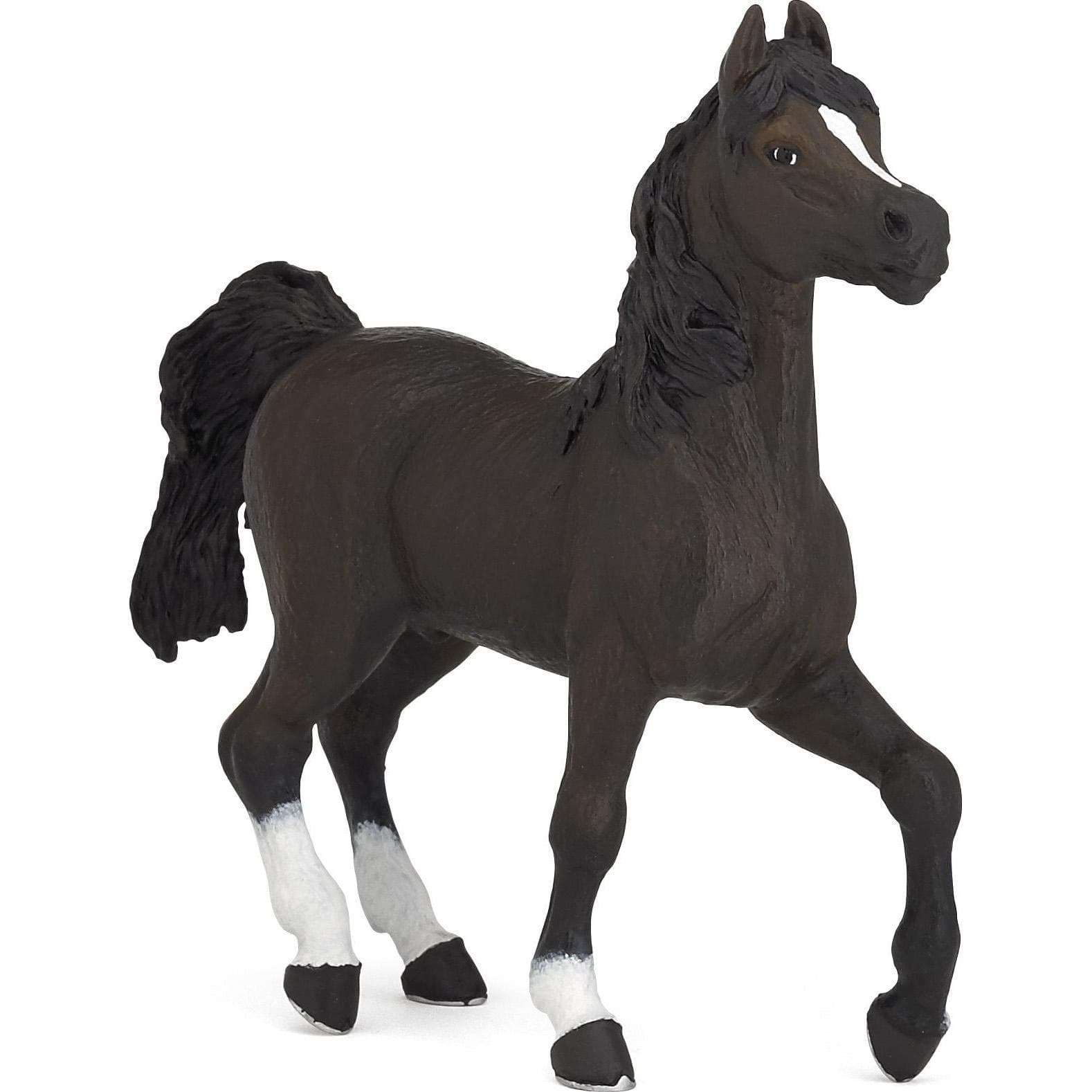 Papo Cavallo arabo