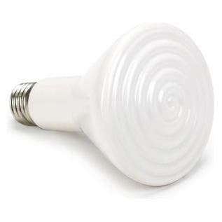 Olba Radiatore A Infrarossi In Ceramica, Allestimento voliere