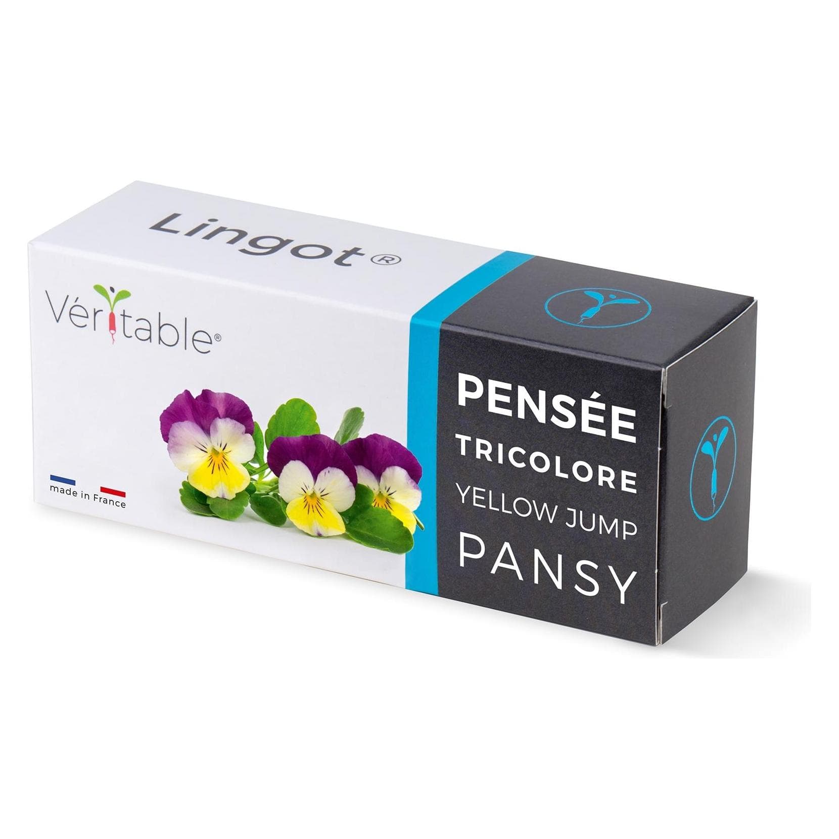 Véritable, Semi, Bio-Stiefmütterchen (Semi di piante)