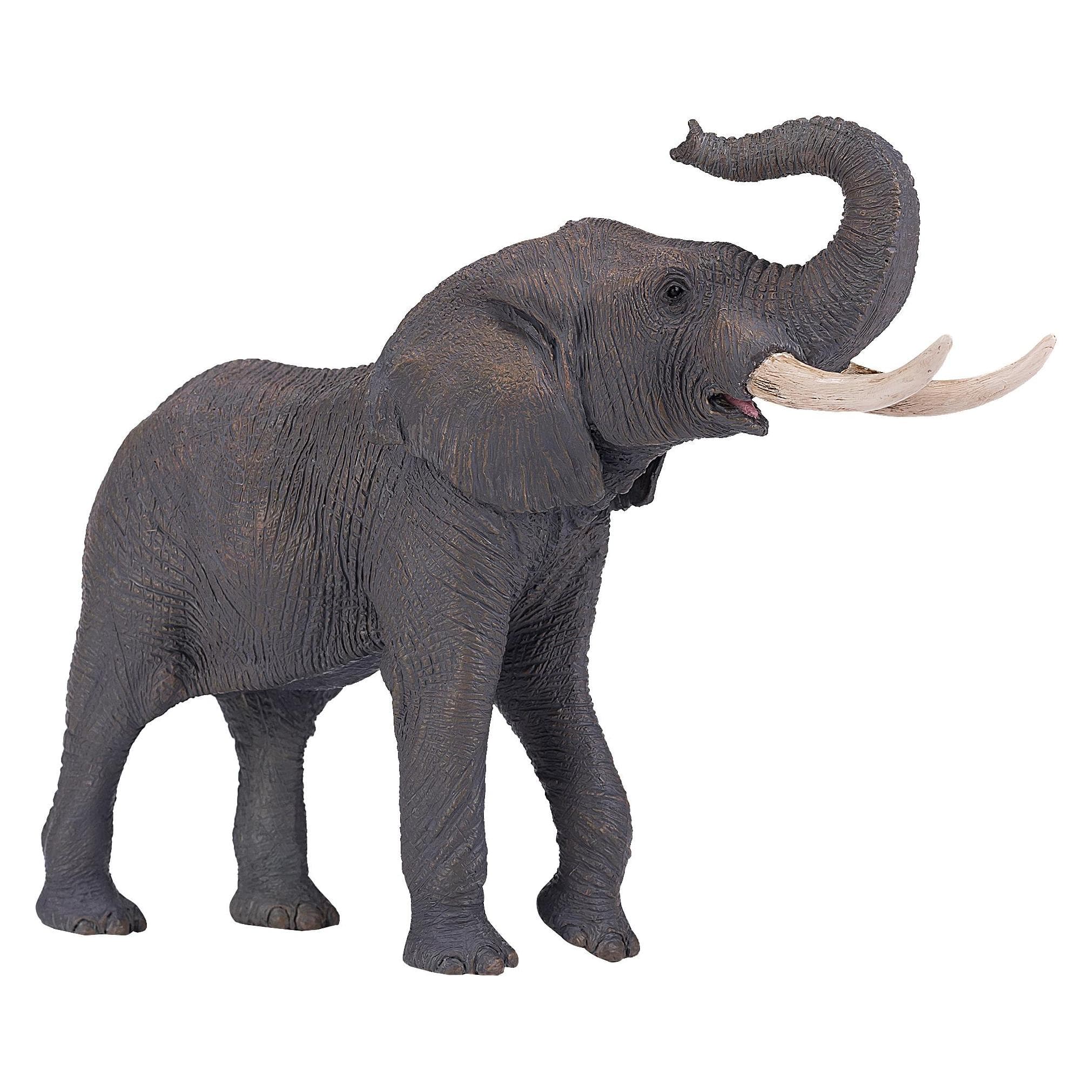 Mojo Elefante toro africano Wildlife - 381005