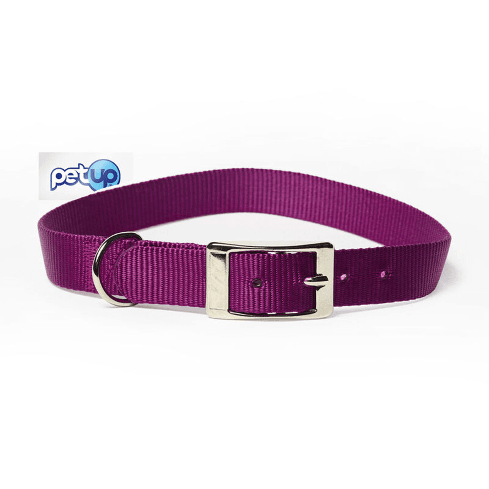 Petup Collare nylon mm 18 x 500 viola - -