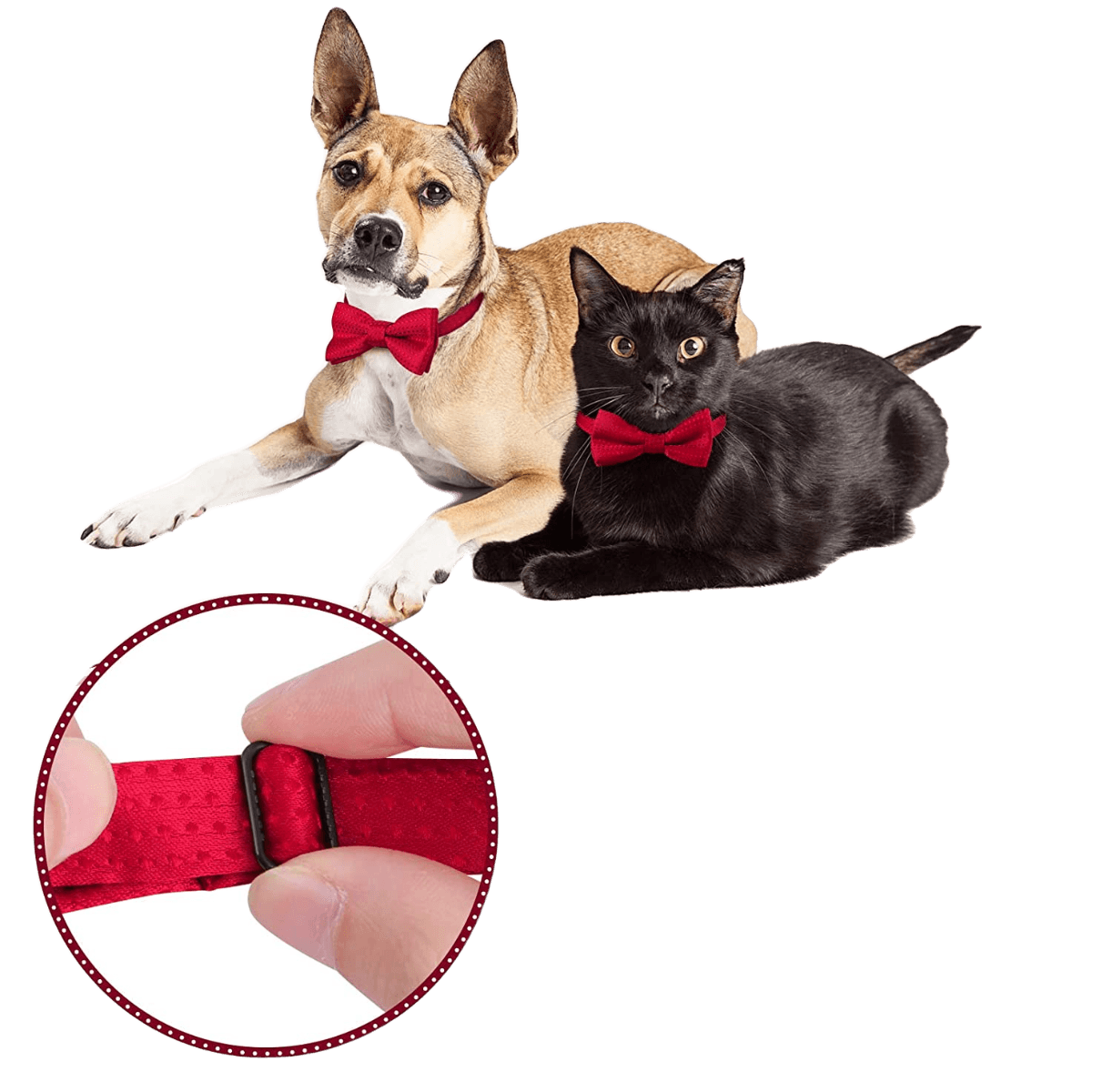 Papillon Formale per animali domestici - regolabile con colletto