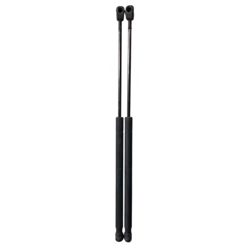 Pistoncini portellone posterione Mini Cooper One R 56 1.6 benzina 2007-2013
