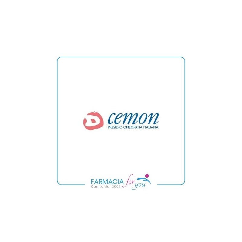 Cemon - RHODODENDRON CHRYSAN 6CH GR